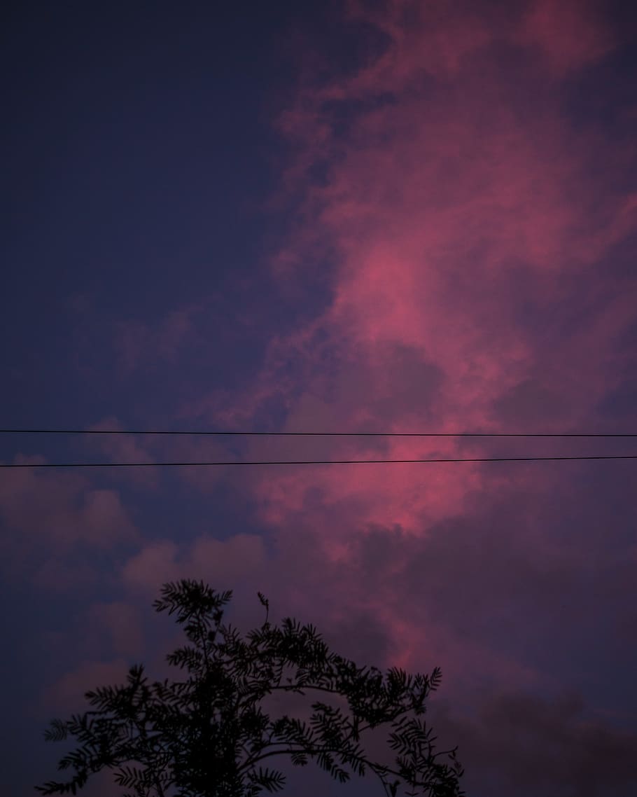 letland, riga, himmel, sky - himmel, træ, skønhed i naturen, kabel, silhuet, scenics - natur, plante, lav vinkel visning, ingen mennesker, ro, natur, solnedgang, rolig scene, elektricitet, strømkabel, skumring, udendørs, idyllisk, nat, Strømforsyning, 4K
