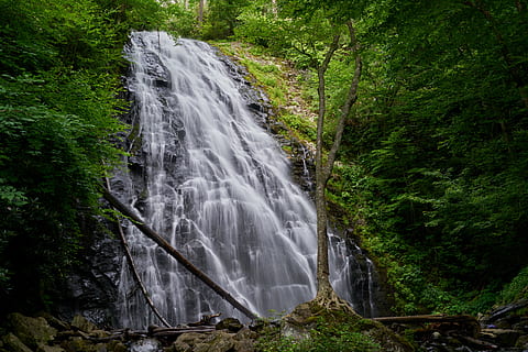 vandfald, grøn, træer, kaskade, miljø, flyde, Skov, natur, outdoorchallenge, udendørs, naturskøn, strøm, træ, skønhed i naturen, plante, scenics - natur, jord, bevægelse, vand, lang eksponering, klippe, grøn farve, rock-objekt, ikke-urbane scene, flydende vand, sløret bevægelse, solid, magt i naturen, ingen mennesker, flyder, regnskov, faldende vand, 5K, CC0, offentligt domæne, royaltyfrie
