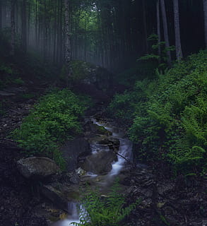 spring, mountains, nature, landscape, travel, sky, clouds, forest, countryside, green, high, outdoor, grass, alpine, scenic, hill, hiking, light, stream, wild, scenery, tree, plant, land, water, beauty in nature, scenics - nature, tranquility, growth, no people, rock, flowing water, non-urban scene, downloading, green color, woodland, tranquil scene, rock - object, flowing, outdoors, stream - flowing water, rainforest, 4K, CC0, public domain, royalty free