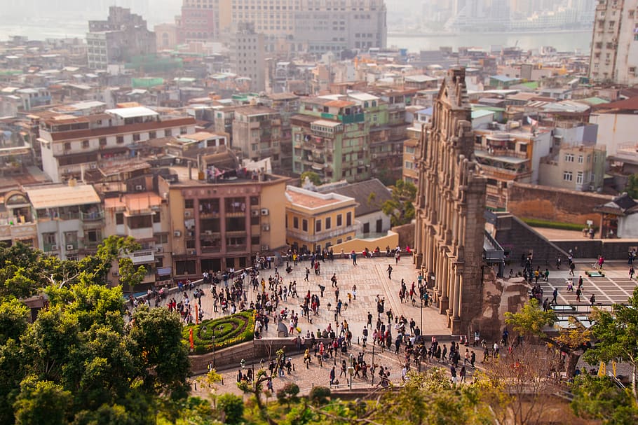 vista del cel de skyline, arquitectura, exterior de l'edifici, estructura construïda, multitud, ciutat, vista d’angle alt, edifici, gran grup de persones, grup de persones, dia, naturalesa, barri residencial, paisatge urbà, persones reals, planta, destinacions de viatge, vida de ciutat, a l'aire lliure, viatjar, 2K