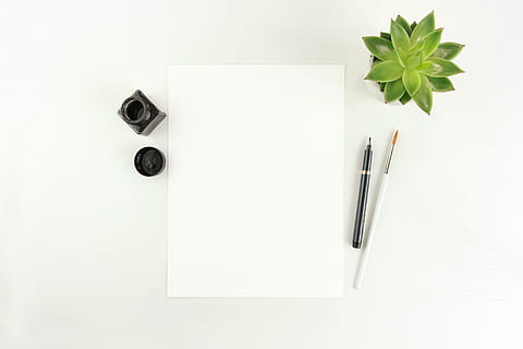 hvidt printerpapir, pen, papir, studio skud, kopiere plads, blad, direkte over, indendørs, plante del, hvid baggrund, ingen mennesker, hvid farve, blank, skriveinstrument, gruppe af objekter, stilleben, høj vinkel visning, Kontorforsyning, skåret ud, fyldepen, tæt på, note pad, 5K, CC0, offentligt domæne, royaltyfrie