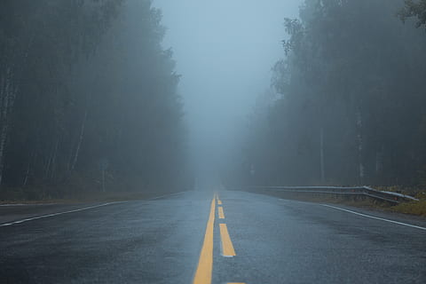leeren, Straße, Wald, die Straßenmarkierung, Nebel, Markierung, der Weg nach vorn, Symbol, Zeichen, Transport, Baum, Richtung, Pflanze, leere Straße, Natur, abnehmende Perspektive, keine Leute, Asphalt, Tag, doppelte gelbe Linie, Ruhe, Trennlinie, draußen, lange, 5K, CC0, gemeinfrei, lizenzfrei