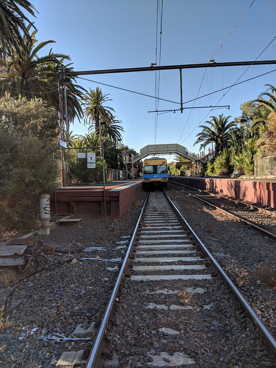 tog, togspor, togstation, jernbane, jernbane vej, passagertog, melbourne, Australien, jernbanetransport, spore, jernbanespor, træ, himmel, transportmidler, plante, natur, transportform, skyfri himmel, dag, vejen frem, retning, elektricitet, Palme træ, ingen mennesker, tropisk klima, kabel, offentlig transport, arkitektur, udendørs, faldende perspektiv, grus, Strømforsyning, 4K