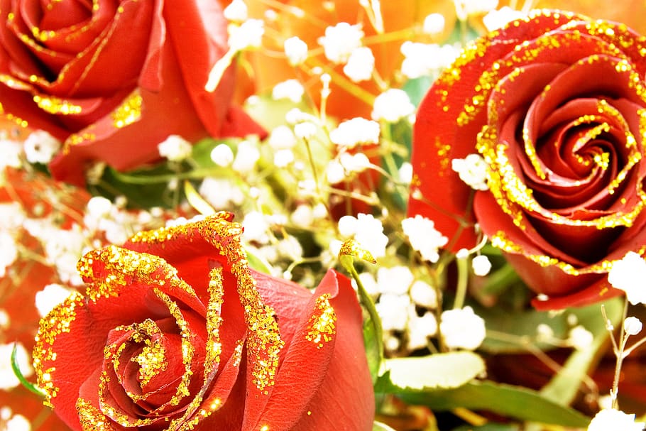 rosa, vermell, tija, fons, Sant Valentí, or, daurat, decoració, concepte, primer pla, verd, floral, pètal, dia, aroma, símbol, celebració, llum, regal, jardineria, amor, macro, elegant, textura, jardí, color, romanç, solter, brot, natural, coquetejar, primavera, passió, aniversari, flor, full, festa, estiu, esdeveniment, fragilitat, objecte, planta, bellesa, romàntic, bonic, fresc, naturalesa, patró, perfecció, planta amb flors, bellesa a la natura, flor de roses, frescor, cap gent, cap de flor, inflorescència, vulnerabilitat, centrar-se en primer pla, arranjament floral, bouquet, ornamentat, 2K