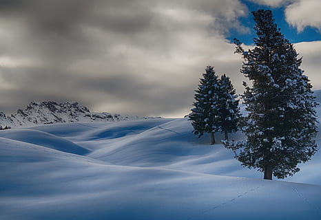 time lapse photography, three, trees, covered, snow, clouds, cloudy, cold, daytime, frost, frosty, frozen, ice, landscape, mountain peak, mountains, nature, nature photography, scenic, season, sky, snow capped mountain, snowy, weather, winter, winter landscape, tree, cold temperature, cloud - sky, plant, beauty in nature, tranquility, scenics - nature, tranquil scene, no people, white color, environment, non-urban scene, day, covering, outdoors, snowcapped mountain, pine tree, extreme weather, coniferous tree, 2K, CC0, public domain, royalty free
