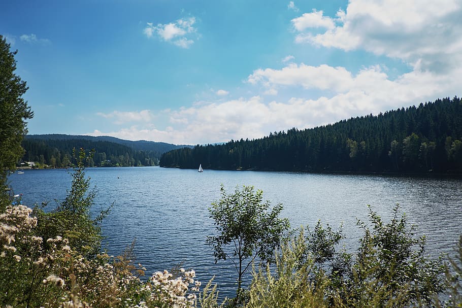 Österreich, Packer stausee, Baum, Wald, Himmel, Wolken, Stimmung, launisch, See, Natur, Pflanzen, Blumen, Blau, Grün, genießen, Boot, Pflanze, Szenen - Natur, Wasser, ruhige Szene, Ruhe, Schönheit in der Natur, wolke - himmel, Wachstum, Nicht-städtische Szene, Tag, keine Leute, idyllisch, draußen, Land, Nadelbaum, 5K