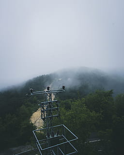 Vogel, Augenfotografie, Strommast, Aktion, Wolken, Dämmerung, Tageslicht, elektrische Post, Elektrizität, Umgebung, Nebel, nebelig, Wald, Landschaft, Morgen, Berg, Natur, Regen, Himmel, Sturm, Turm, Bäume, Wetter, Baum, Pflanze, Tag, draußen, echte Menschen, Männer, Schönheit in der Natur, Menschen, Nicht-städtische Szene, Rauch - physische Struktur, Lebensstile, Gruppe von Leuten, Szenen - Natur, Freizeitbeschäftigung, 4K, CC0, gemeinfrei, lizenzfrei