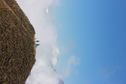 hora, stromy, tábor, summitu, nebe, mrak - nebe, den, scenics - příroda, krása v přírodě, Příroda, klid, jedna osoba, klidné scény, skutečných lidí, venku, přistát, nízký úhel pohledu, volnočasové aktivity, životní prostředí, sport, muži, mimoměstské scény, 2K, CC0, veřejná doména, bez autorských práv