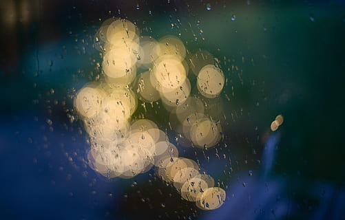 regn, vindue, dråber, våd, vand, regnfuld, regndråber, vejr, glas, lys, bokeh, ingen mennesker, tæt på, natur, indendørs, gennemsigtig, glas - materiale, hav, dyreliv, dyr i naturen, gruppe af dyr, undervands-, svømning, selektiv fokusering, dyr, dyre temaer, linseflare, marine, 5K, CC0, offentligt domæne, royaltyfrie