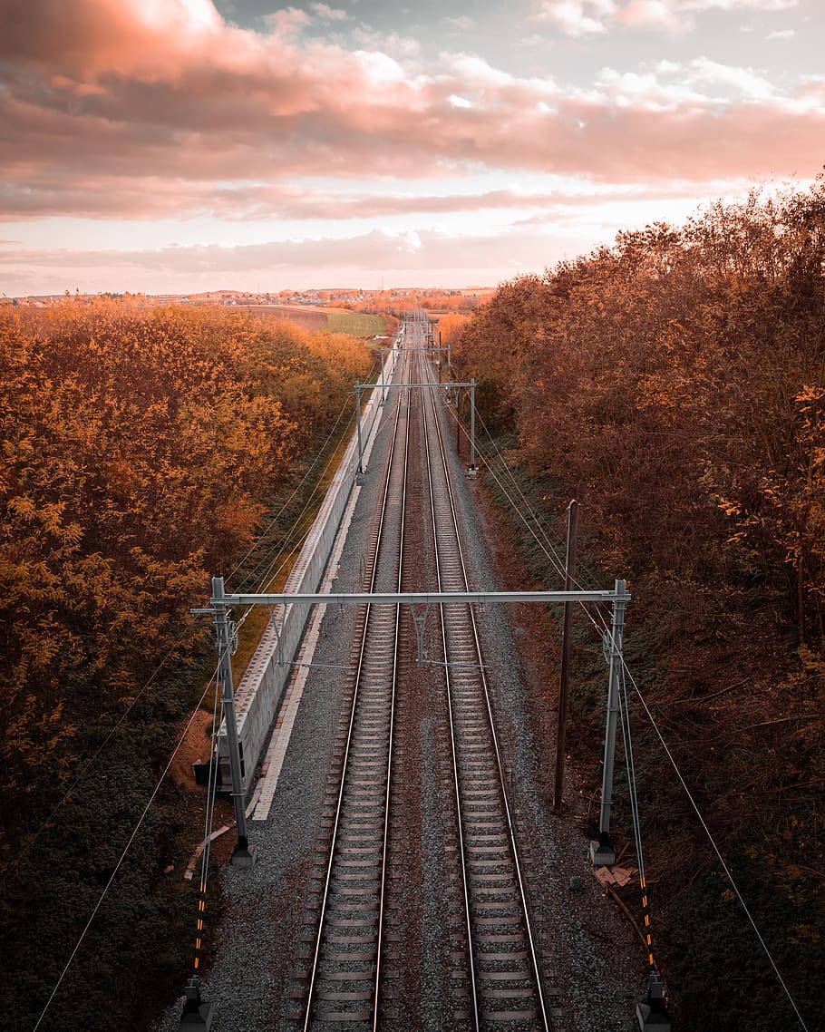 pista de tren, sec, bosc, núvols, alba, tarda, orientació, paisatge, llum, naturalesa, perspectiva, ferrocarril, cel, posta de sol, pistes, sistema de transport, arbres, boscos, pista, transport per ferrocarril, vies del ferrocarril, núvol - cel, transport, el camí a seguir, perspectiva decreixent, direcció, punt de fuga, arbre, planta, cap gent, escenics - natura, manera de transport, dia, vista d’angle alt, medi ambient, canvi, a l'aire lliure, 4K