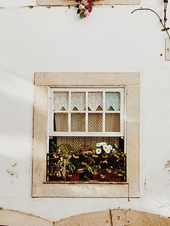 weißes Holzfenster, Pflanze, Wand, Fenster, die Architektur, gebaute Struktur, Topfpflanze, keine Leute, Wachstum, Gebäudehülle, Tag, Wandbau - Funktion, Blume, Natur, draußen, blühende Pflanze, Gebäude, Haus, weiße Farbe, Holz - Material, Design, Blumentopf, Zimmerpflanze, 4K, CC0, gemeinfrei, lizenzfrei