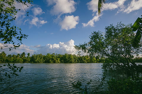 zbiornik wodny, tło, chmury, zabarwienie, światło dzienne, środowisko, jezioro, krajobraz, na dworze, park, rzeka, sceniczny, drzewa, woda, drzewo, niebo, chmura - niebo, roślina, piękno natury, scenics - natura, spokój, spokojna scena, Natura, żadnych ludzi, zielony kolor, scena pozamiejska, wzrost, dzień, odbicie, idylliczny, 5K, CC0, domena publiczna, darmowe zdjęcia