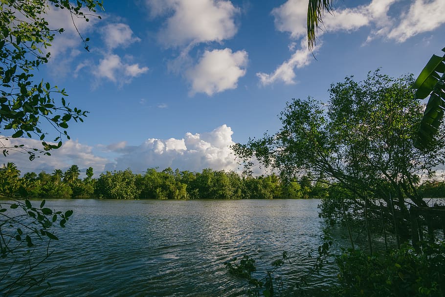 zbiornik wodny, tło, chmury, zabarwienie, światło dzienne, środowisko, jezioro, krajobraz, na dworze, park, rzeka, sceniczny, drzewa, woda, drzewo, niebo, chmura - niebo, roślina, piękno natury, scenics - natura, spokój, spokojna scena, Natura, żadnych ludzi, zielony kolor, scena pozamiejska, wzrost, dzień, odbicie, idylliczny, 5K