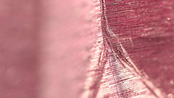 textura, patró, cremallera, detall, rosa, abstracció, macrophoto, macro, porpra, cristall, roba, decoració de la llar, pell, foto, fotografia, maluc, fractal, ornament, teixit, cap gent, fons, enfocament selectiu, primer pla, marc complet, naturalesa, tèxtil, color rosa, ploma, vermell, a l'aire lliure, creixement, dia, vulnerabilitat, còpia espai, sol objecte, fragilitat, cura, 2K, CC0, domini públic, lliure de regalies