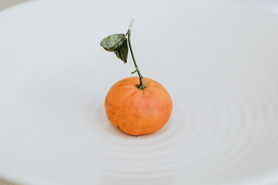 appelsin citrusfrugt, mad, frugt, citrus frugt, plante, grapefrugt, fremstille, orange, mandarin, enkelt, clementine, ensom, en, blad, pomelo, persimmon, abrikos, granatæble, vener, sølv, kiwi, sund kost, mad og drikke, velvære, friskhed, studio skud, indendørs, æble - frugt, orange farve, kopiere plads, tæt på, stilleben, ingen mennesker, enkelt objekt, plantestamme, plante del, hvid baggrund, 5K