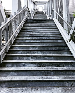 Schritt, Geländer, Schritte, die Architektur, nach oben, Portland, Treppe, Design, Perspektive, Stufen und Treppen, der Weg nach vorn, Richtung, gebaute Struktur, Tag, Flachwinkelansicht, keine Leute, Muster, Verbindung, draußen, Metall, Gebäudehülle, abnehmende Perspektive, Brücke, Führung, aufsteigen, Natur, 2K, CC0, gemeinfrei, lizenzfrei