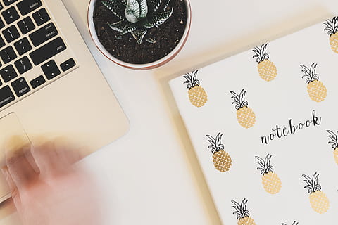 dekor, arbeidsbord, arbeider, arbeidsområde, desktop, skrivebord, bevegelse, hånd, Macbook Pro, macbook, eple, mac, jord, skitt, saftig, anlegg, tidsskrift, laptop, notisbok, ananas, trådløs teknologi, innendørs, kommunikasjon, kreativitet, bord, datamaskin, nærbilde, ingen folk, tekst, kunst og Håndverk, høy vinkel visning, teknologi, forbindelse, rett over, stilleben, møbler, tastatur, 5K, CC0, offentlig domene, opphavsrett gratis