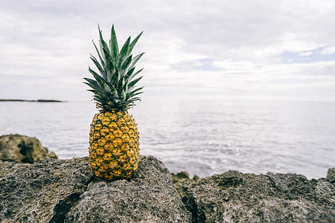 nanas, pencuci mulut, hidangan pembuka, buah, jus, tanaman, batu, alam, awan, langit, laut, air, keindahan di alam, batu - benda, buah tropis, padat, tidak ada orang, hari, makanan, makan sehat, makanan dan minuman, awan - langit, scenics - alam, menanam, di luar rumah, 5K, CC0, domain publik, bebas royalti