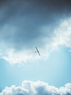 planador, avions, cel, núvols, volant, pilot del planador, lliscament, aviació, esports aeri, ala, esport segelflug, ales, aire, aeroport, pasatemps, lliscar, esdeveniment dobles masculí, festival aeròdrom, núvol - cel, vista d’angle baix, naturalesa, cap gent, a l'aire, dia, a l'aire lliure, bellesa a la natura, silueta, vertebrats, blau, llum solar, temes d'animals, vehicle aeri, escenics - natura, tranquil·litat, ocell, animal, directament a sota, 4K, CC0, domini públic, lliure de regalies