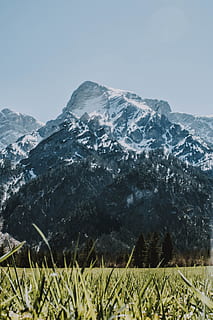 snowcapped hegy, környezet, fű, tájkép, hegy, természet, szabadban, sziklás hegység, színpadi, festmények - természet, szépség a természetben, ég, hegység, növény, nyugalom, nyugodt jelenet, hideg hőmérséklet, hó, téli, nem ember, nap, tiszta ég, föld, nem városi színtéren, hegycsúcs, képződés, 5K, CC0, közkincs, jogdíjmentes