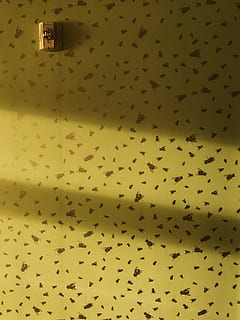 luce, nyc, nessuno, giallo, caratteristica della parete, grande gruppo di animali, in casa, animale, gruppo di animali, temi animali, giorno, fotogramma intero, fauna selvatica, modello, buco, sfondi, architettura, vertebrato, natura, struttura costruita, macchiato, grande gruppo di oggetti, Stormo di uccelli, 1080P, CC0, dominio pubblico, privo di copyright