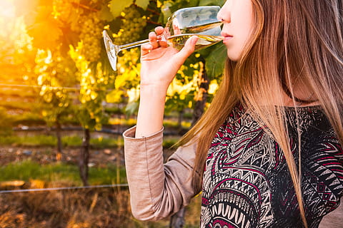 gorgeous, brunette, woman, wine fun, vineyards, women, young adult, holding, one person, adult, long hair, young women, nature, lifestyles, hairstyle, hair, beauty, portrait, food and drink, leisure activity, drink, beautiful woman, drinking, brown hair, outdoors, 5K, CC0, public domain, royalty free