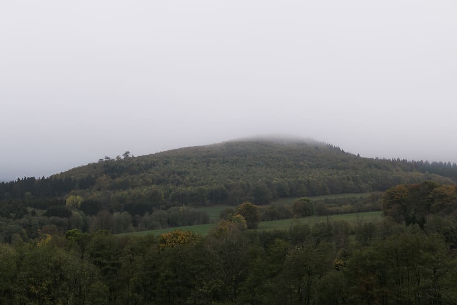 Alemanya, hessen, arbres, arbre, naturalesa, boira, tardor, muntanya, turó, fred, medi ambient, escenics - natura, planta, paisatge, escena tranquil·la, cel, tranquil·litat, bellesa a la natura, cap gent, còpia espai, terra, creixement, dia, escena no urbana, cel clar, camp, a l'aire lliure, 5K