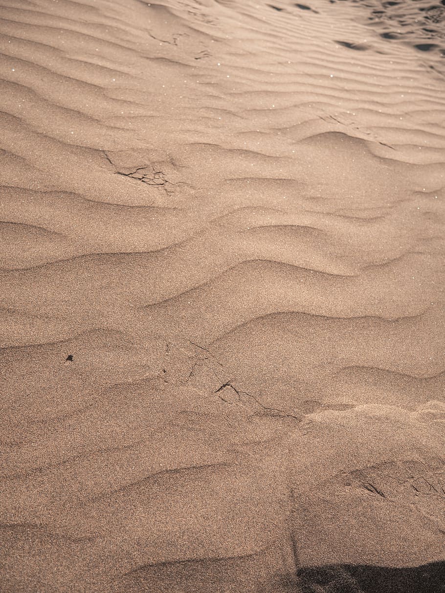 sorra marró, sorra de platja, la llum del dia, sec, empremta, calenta, paisatge, patró, sorra, duna de sorra, dunes de sorra, sorrenca, vora del mar, Riba, espanya, textura, onada, terra, platja, marc complet, naturalesa, vista d’angle alt, fons, cap gent, tranquil·litat, desert, patró natural, escenics - natura, dia, patró d'ones, marró, clima àrid, a l'aire lliure, clima, 5K