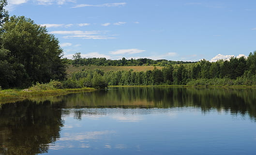 zomer, achtergrond, bomen, lopen, schoonheid, groen, dorp, landelijk, rivier-, landschap, natuur, vijver, boom, reflectie, water, meer, fabriek, kalmte, rustige scène, schoonheid in de natuur, scenics - natuur, hemel, groene kleur, groei, geen mensen, niet-stedelijke scène, waterkant, wolk - lucht, dag, idyllisch, 4K, CC0, publiek domein, royaltyvrij