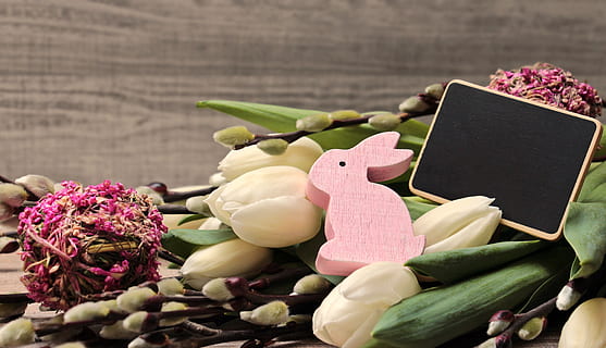 ou de Pasqua, Pasqua, llagosta de salze, ou, decoració, salutació de pasqua, decoracions de pasqua, primavera, deco, tradició, decoració de pasqua, Feliç Pasqua, salutacions de pasqua, bucle, osterkarte, fons, tulipes, flors, tema de pasqua, conill de Pasqua, llebre, tulipes blancs, rosa, ornament, decoratiu, pissarra, text dom, flor, planta amb flors, frescor, planta, primer pla, cap gent, bellesa a la natura, vulnerabilitat, color rosa, naturalesa, fragilitat, natura morta, a l'interior, taula, pètal, menjar i beguda, menjar, celebració, cap de flor, full, bouquet, arranjament floral, 5K, CC0, domini públic, lliure de regalies