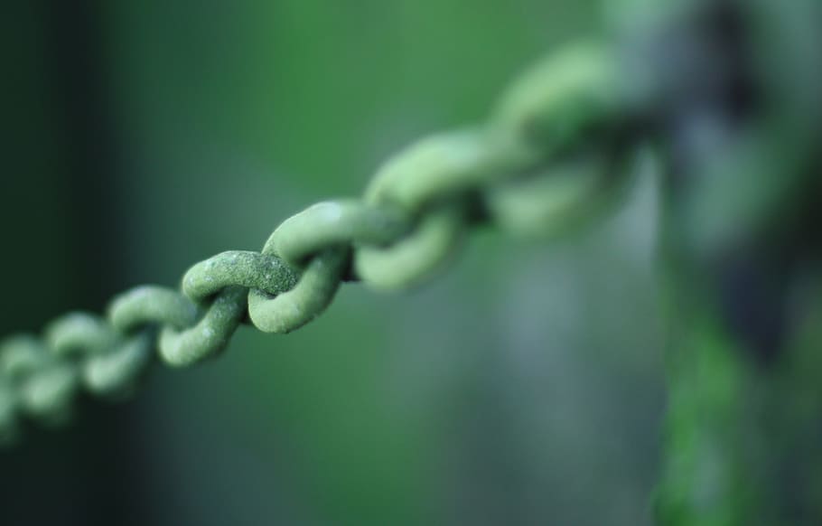 encadenat, enllaç, connexió, verd, metall, ferro, seguretat, connectat, cadenes, fort, protecció, connectar, força, primer pla, enfocament selectiu, color verd, centrar-se en primer pla, cap gent, cadena, dia, naturalesa, creixement, planta, a l'aire lliure, corda, equipament, bellesa a la natura, 4K