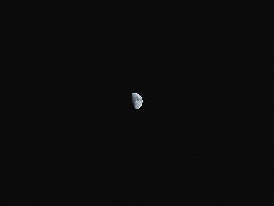 gris, lluna, nit, Dinamarca, Copenhaguen, astronomia, negre, espai, cel, bellesa a la natura, vista d’angle baix, escena tranquil·la, escenics - natura, còpia espai, tranquil·litat, naturalesa, cap gent, Lluna planetària, ciència, fosc, espai i astronomia, lluna plena, idíl·lic, exploració espacial, a l'aire lliure, astrologia, llum de la lluna, 4K